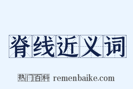 脊线近义词是什么意思的图片